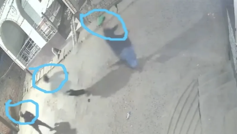 UP: Stone-pelting on Hindu homes in Ghazipur, a shop vandalised; most attackers Muslim minors